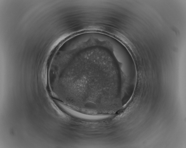 X0000113601127200909251151