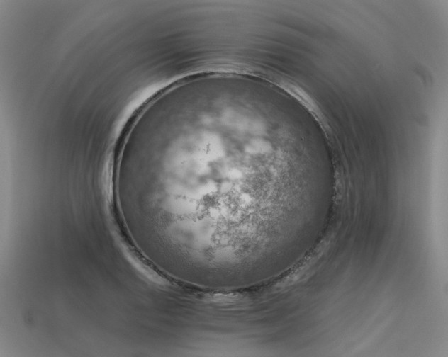 X0000113601128200909251151