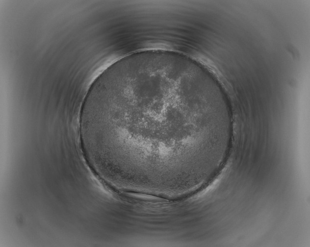 X0000113601129200909251151