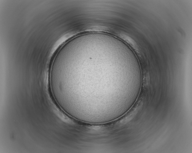 X0000113601130200909251151