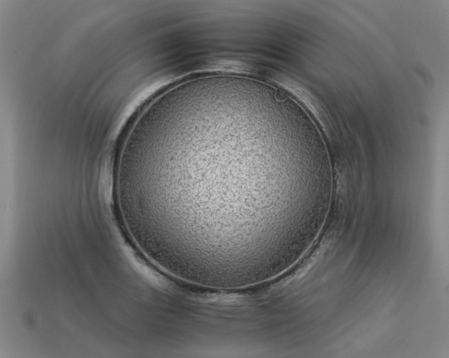 X0000113601131200909251151