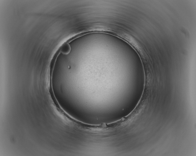 X0000113601132200909251151