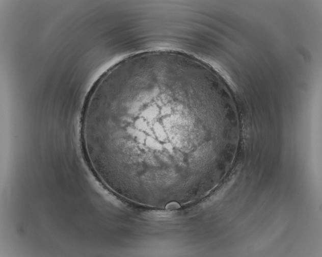 X0000113601134200909251151