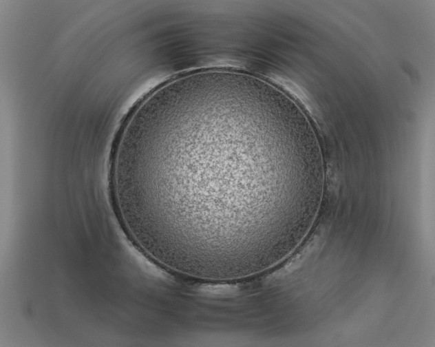 X0000113601135200909251151