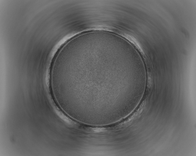 X0000113601136200909251151