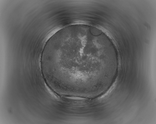 X0000113601137200909251151