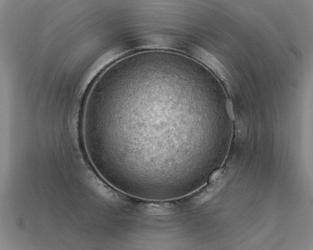 X0000113601138200909251151