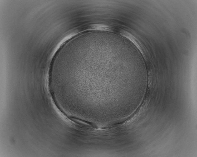 X0000113601139200909251151