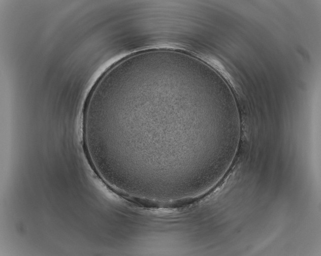 X0000113601140200909251151