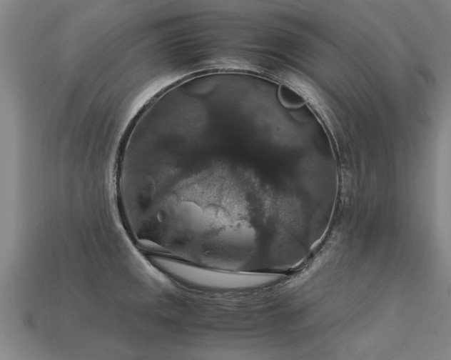 X0000113601141200909251151