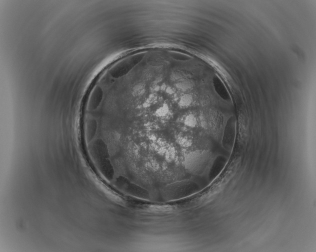 X0000113601142200909251151