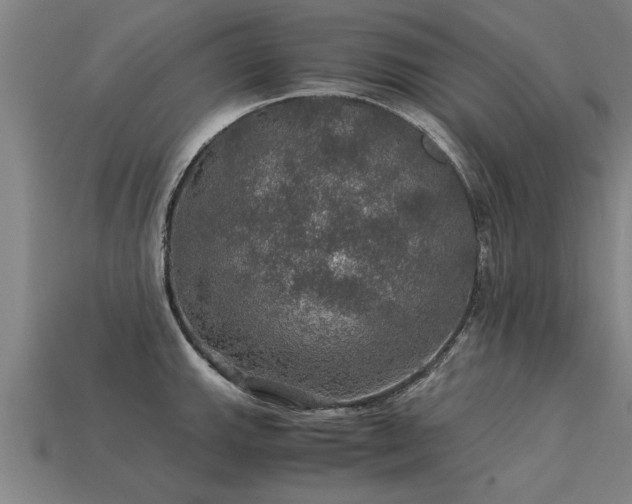 X0000113601143200909251151