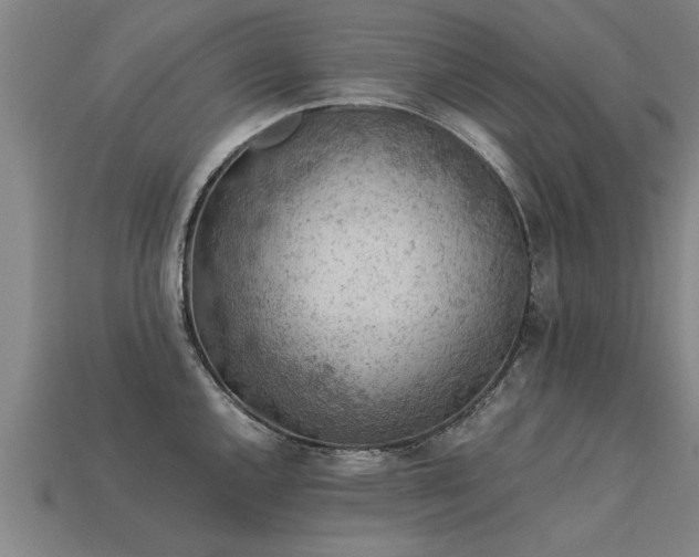 X0000113601144200909251151