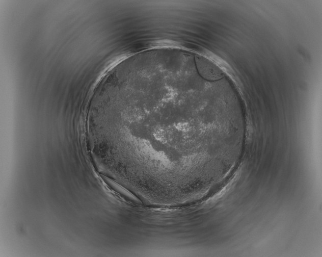 X0000113601145200909251151