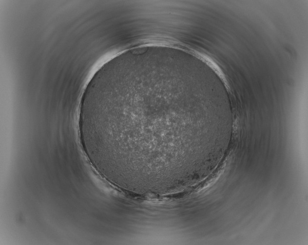 X0000113601146200909251151