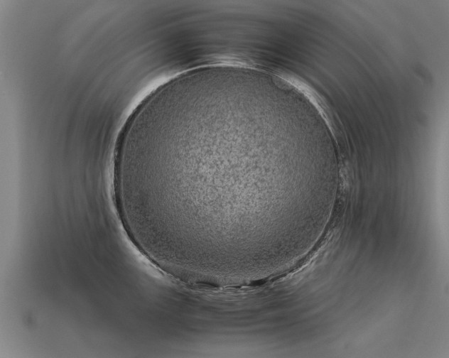 X0000113601147200909251151