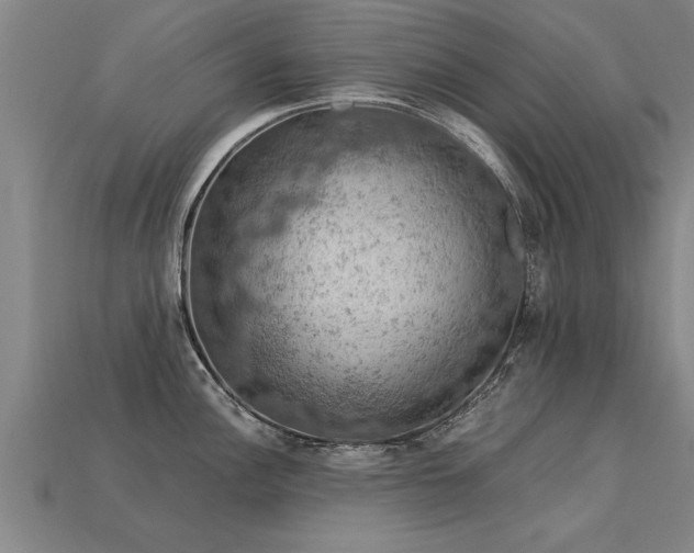 X0000113601148200909251151