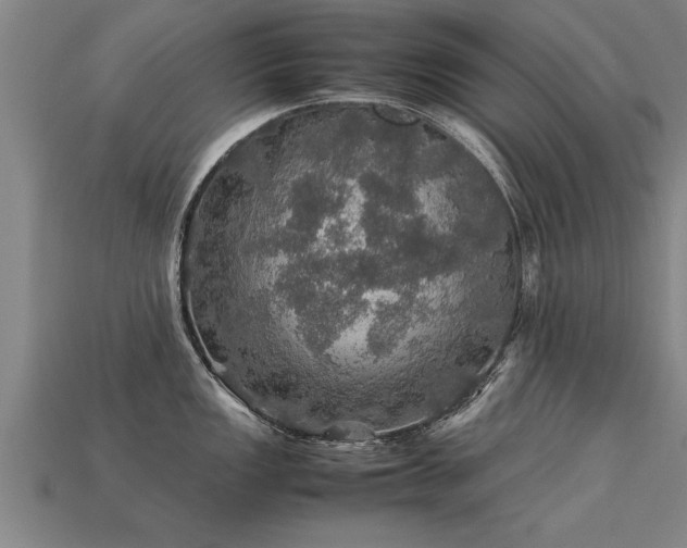 X0000113601149200909251151