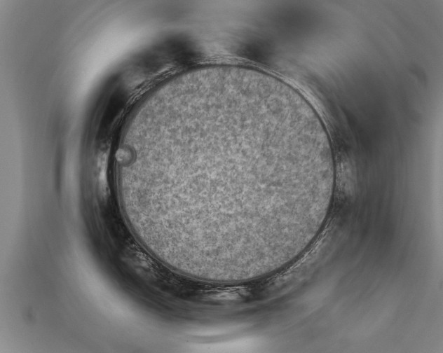 X0000113601150200909251151