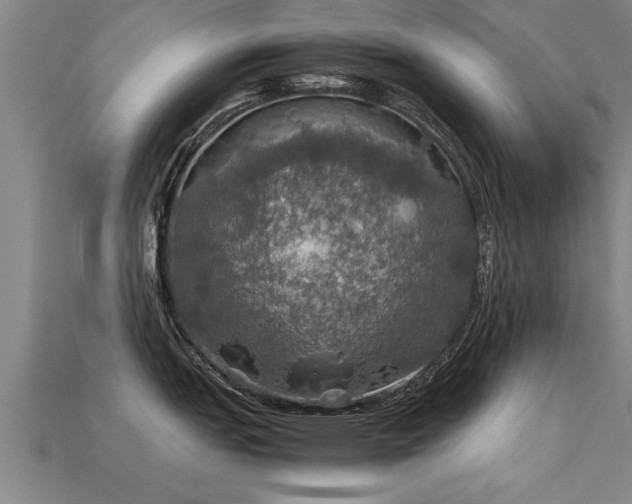 X0000113601151200909251151