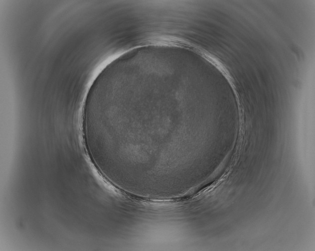 X0000113601152200909251151