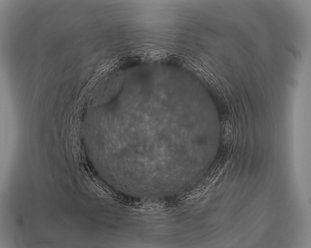 X0000113601153200909251150