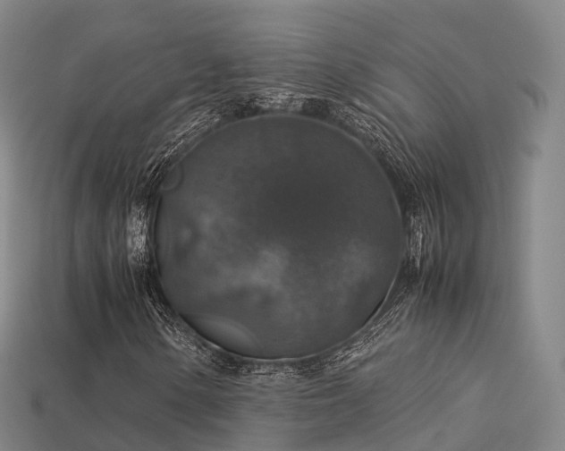 X0000113601154200909251150