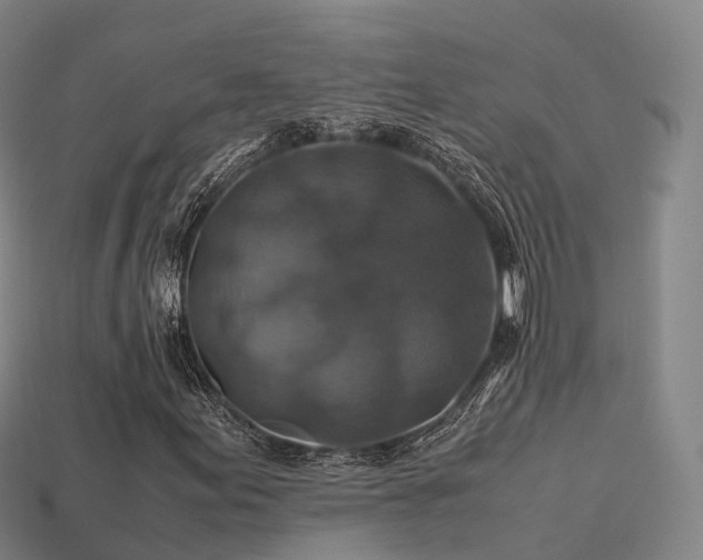 X0000113601155200909251150