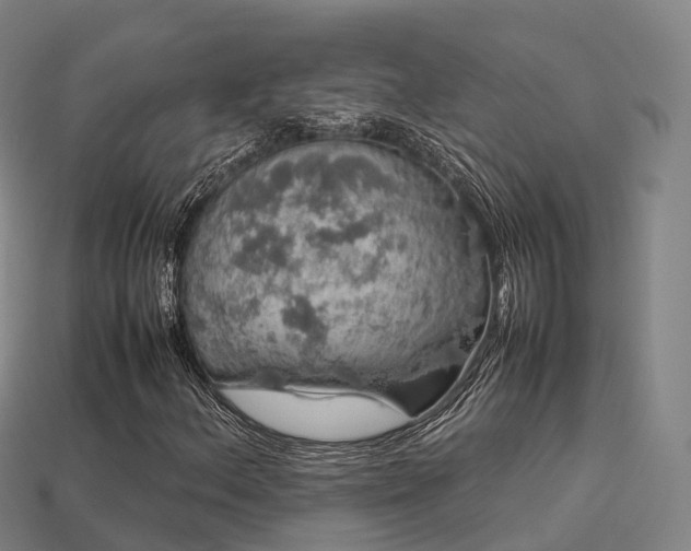 X0000113601156200909251150