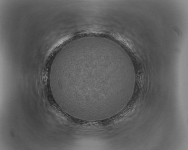 X0000113601159200909251150