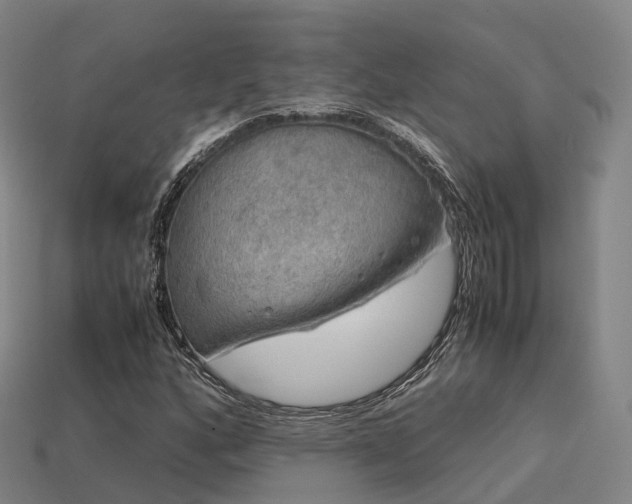 X0000113601160200909251150