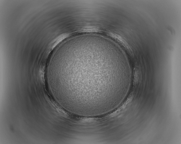 X0000113601162200909251150