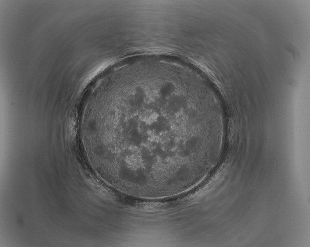 X0000113601163200909251150