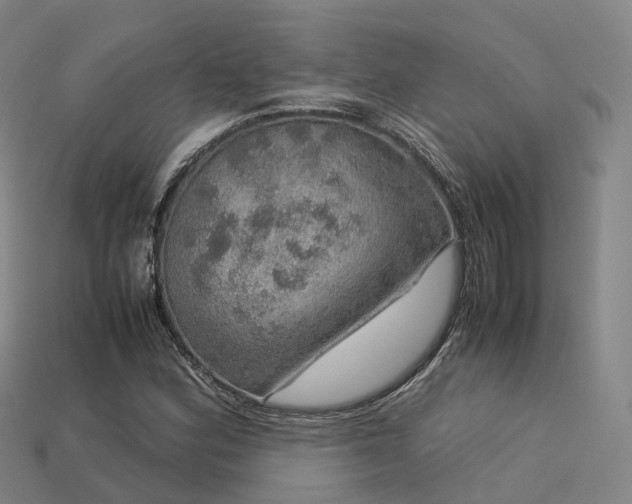 X0000113601164200909251150