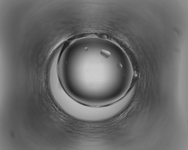 X0000113601165200909251150