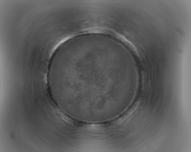 X0000113601166200909251150