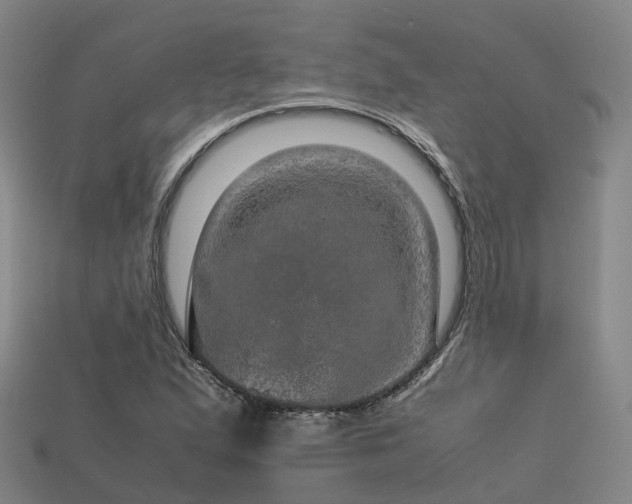 X0000113601167200909251150