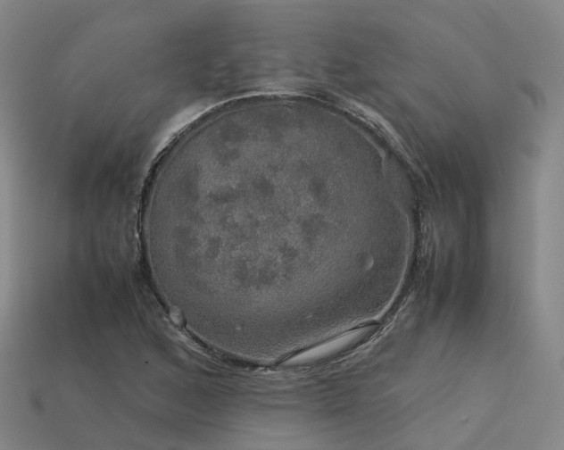 X0000113601168200909251150