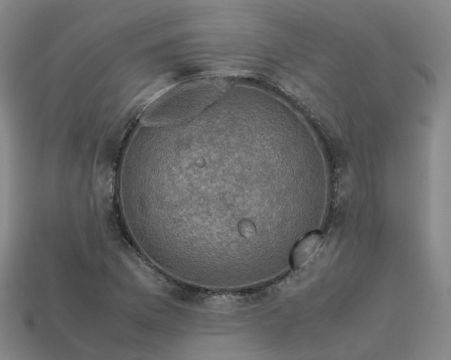 X0000113601169200909251150