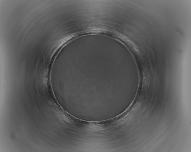 X0000113601170200909251150