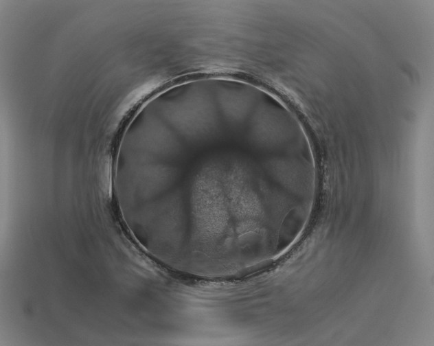 X0000113601171200909251150