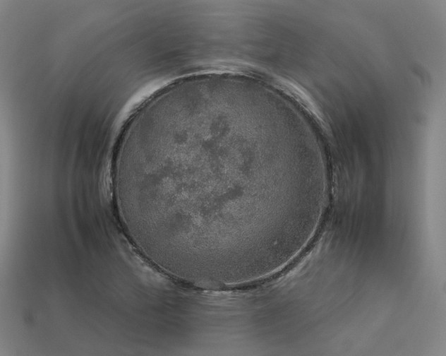 X0000113601172200909251150