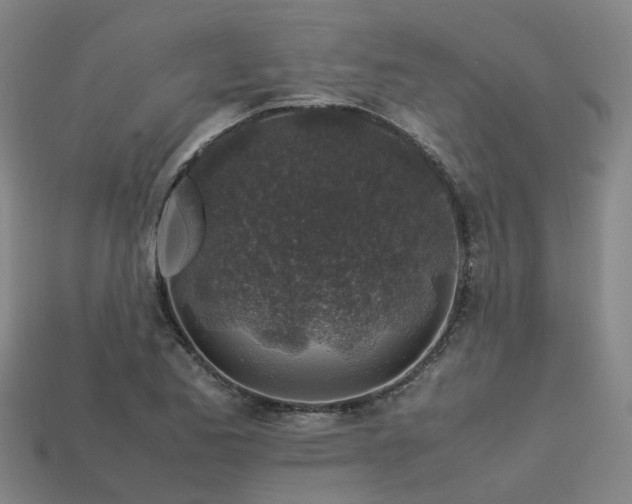 X0000113601173200909251150