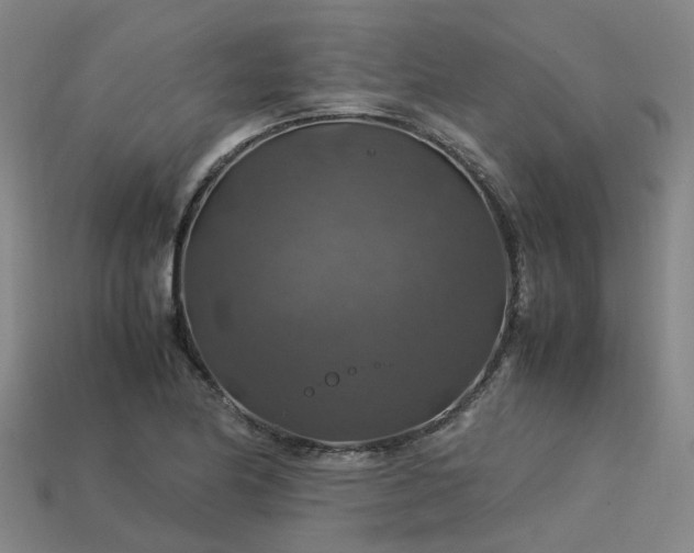 X0000113601174200909251150