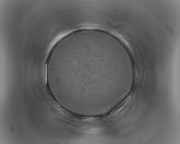 X0000113601175200909251150