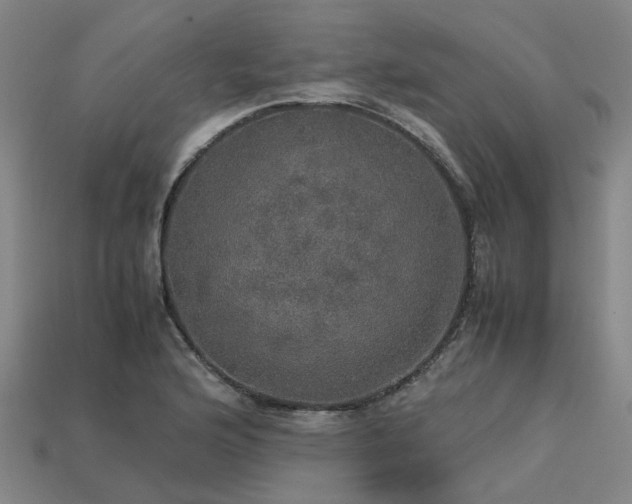 X0000113601176200909251150