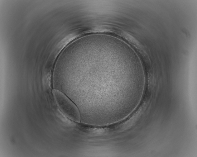 X0000113601177200909251150