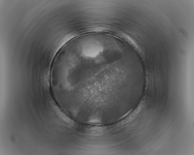 X0000113601178200909251150