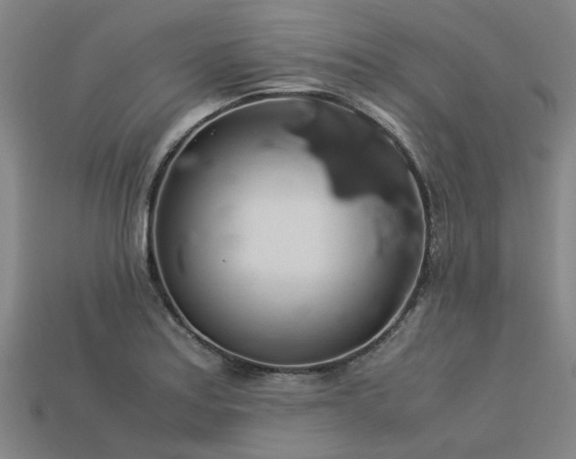 X0000113601179200909251150