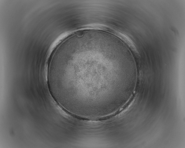 X0000113601180200909251150